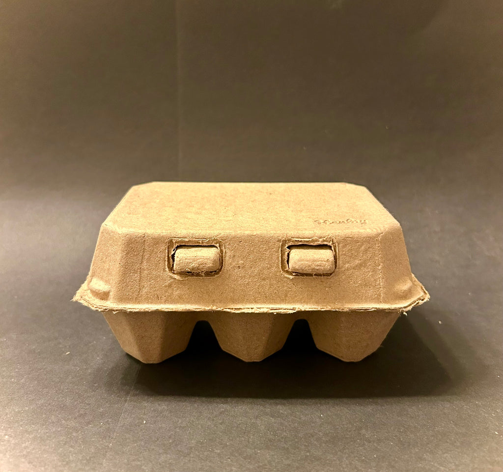 Large Burr Oak Acorns — Set of 6