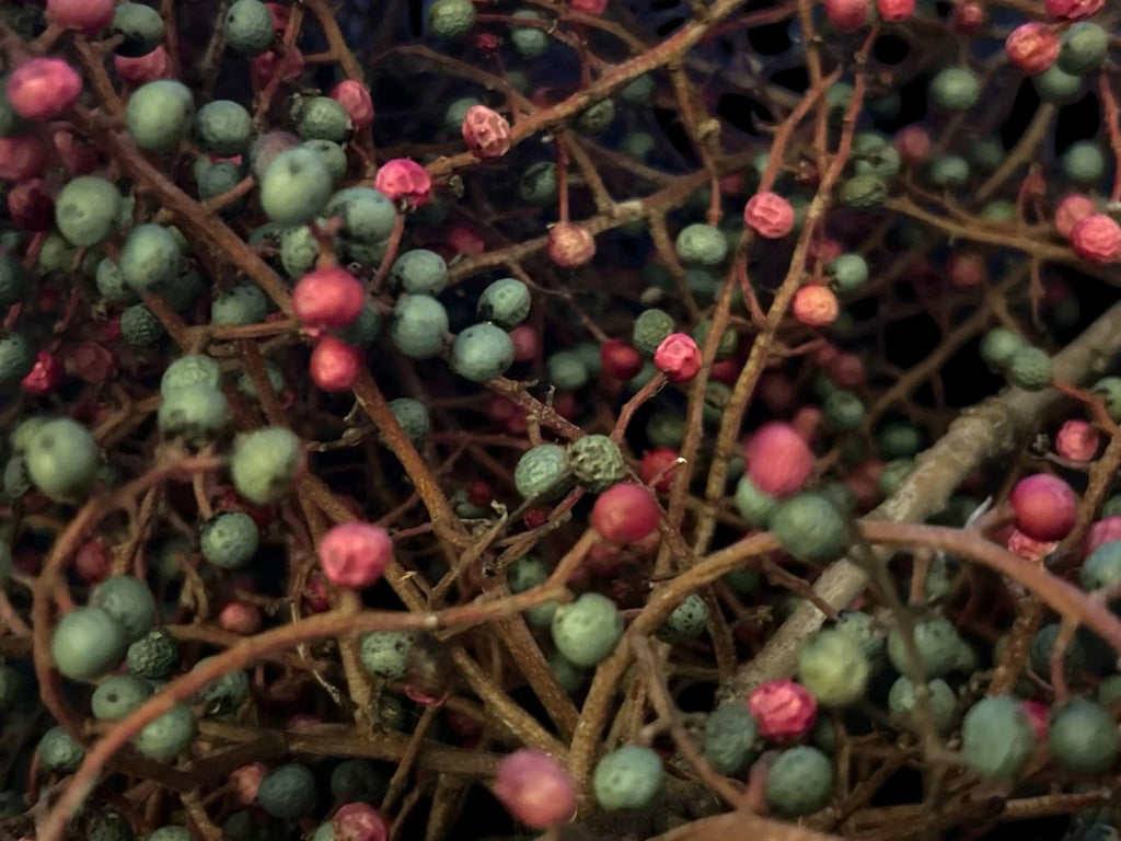 Chinese Pistache Berries