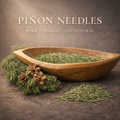 Pinyon Pine Needles — Wild Harvested Botanical